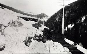 thumbnail of image