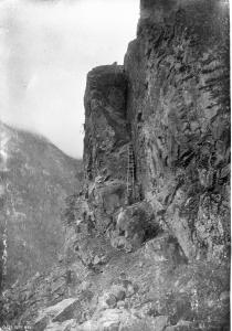 thumbnail of image