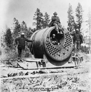 thumbnail of image