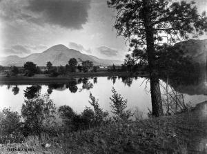thumbnail of image