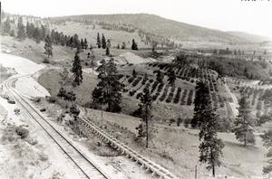thumbnail of image