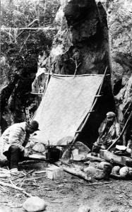 thumbnail of image