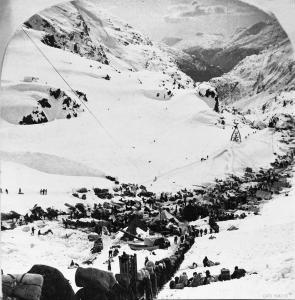 thumbnail of image