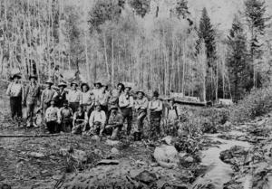 thumbnail of image