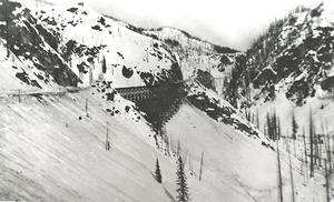 thumbnail of image