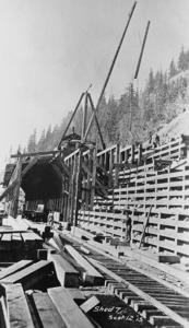 thumbnail of image