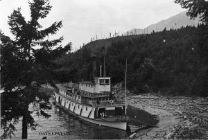 thumbnail of image