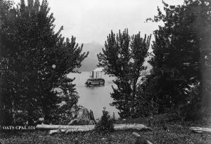 thumbnail of image