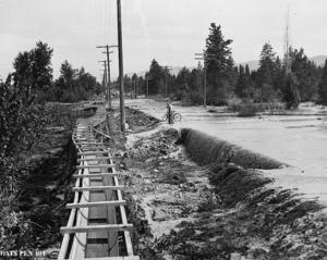 thumbnail of image