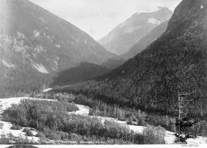 thumbnail of image