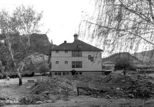 thumbnail of image