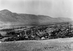 thumbnail of image