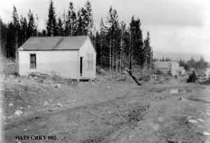 thumbnail of image