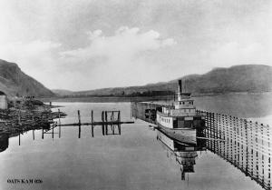 thumbnail of image