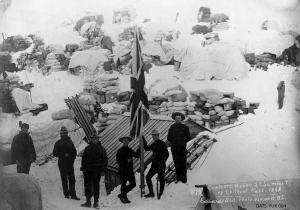 thumbnail of image