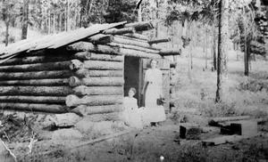 thumbnail of image