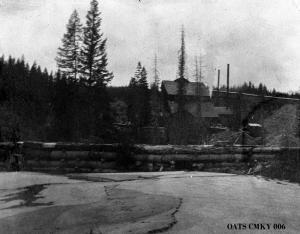 thumbnail of image