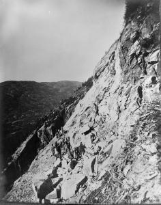 thumbnail of image