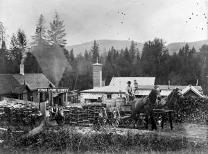 thumbnail of image