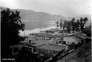 thumbnail of image