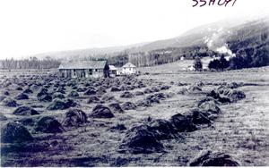 thumbnail of image