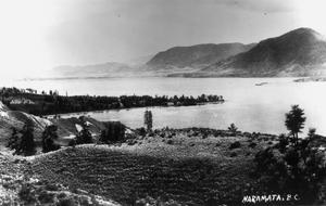 thumbnail of image