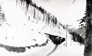 thumbnail of image