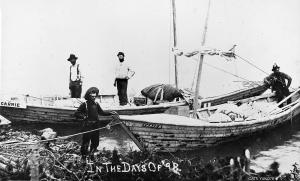 thumbnail of image