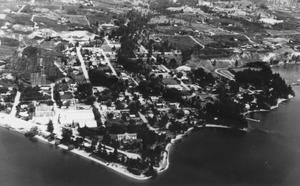 thumbnail of image