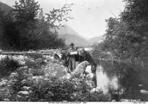 thumbnail of image