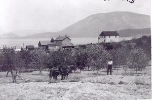thumbnail of image