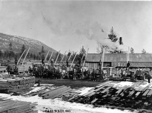 thumbnail of image