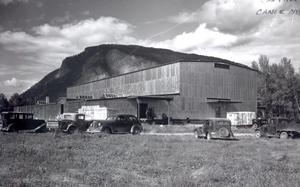 thumbnail of image