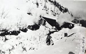 thumbnail of image