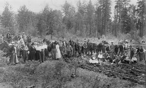 thumbnail of image