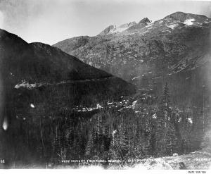 thumbnail of image