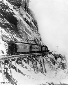 thumbnail of image