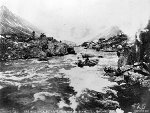 thumbnail of image