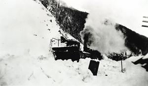 thumbnail of image