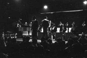 thumbnail of image