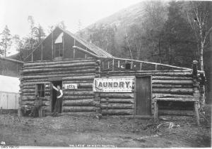 thumbnail of image