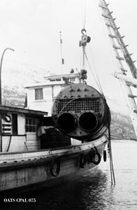 thumbnail of image