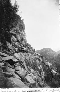 thumbnail of image