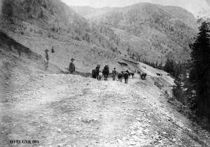thumbnail of image