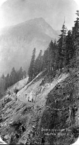 thumbnail of image