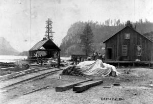 thumbnail of image