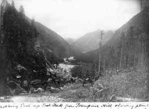 thumbnail of image