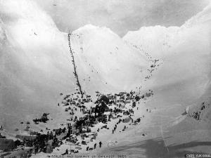 thumbnail of image