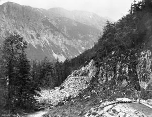 thumbnail of image