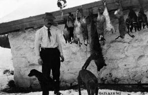 thumbnail of image